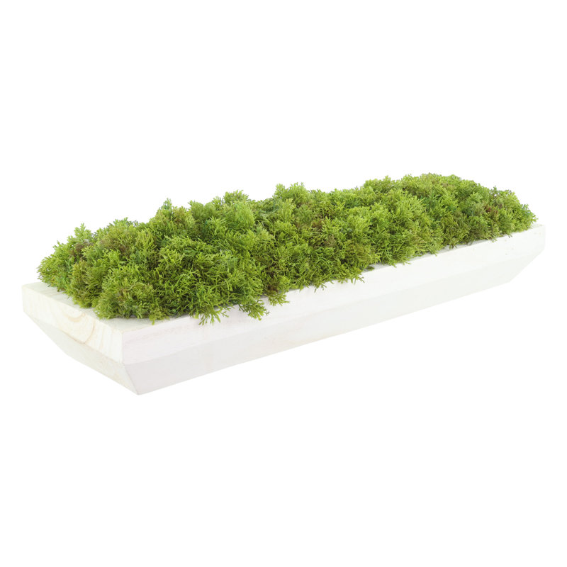 Moss Arrangement In Wood Dough Bowl