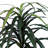 49'' Faux Tree in Wicker/Rattan Basket