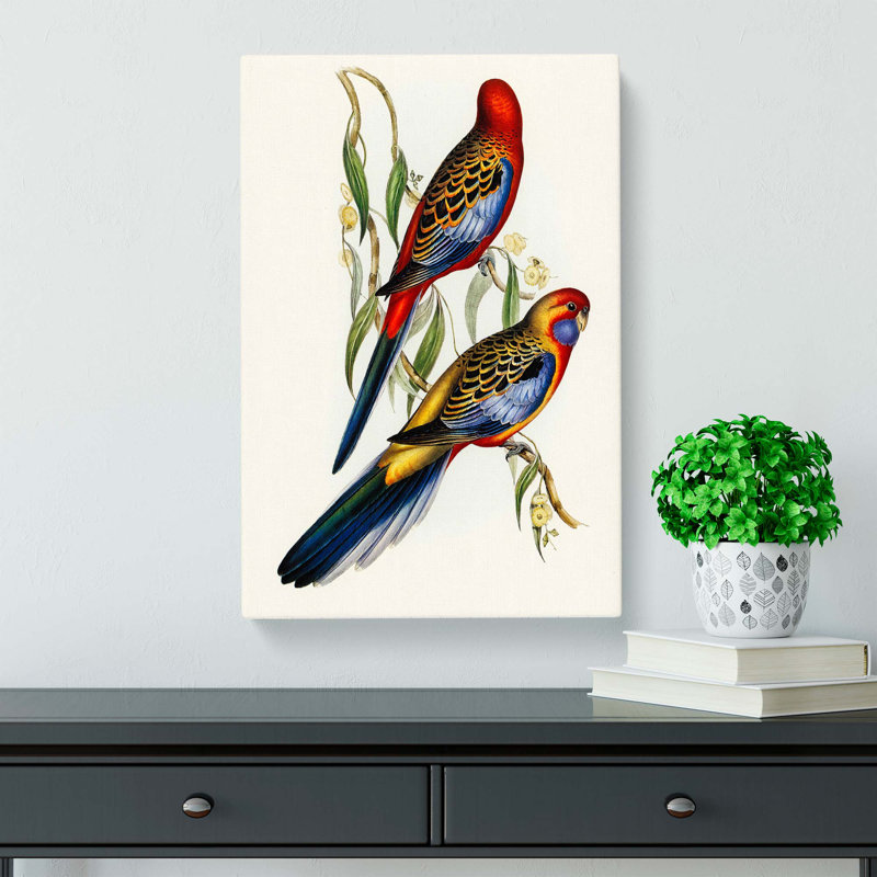 Adelaide Parakeets - Wrapped Canvas, 60cm H x 40cm W x 3cm D