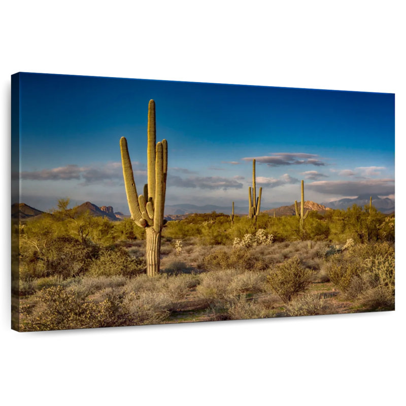 Harnek Arizona Desert Cactus, 20" H x 30" W