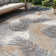 Hernandez Floral Beige/Gray/Brown Indoor & Outdoor Area Rug