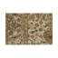 Wool Oriental Indoor Rug