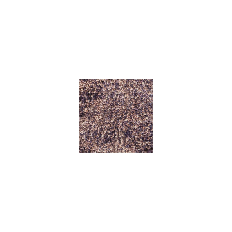 Izzie Wool Area Rug in Purple, Rectangle 7'9" x 10'6"