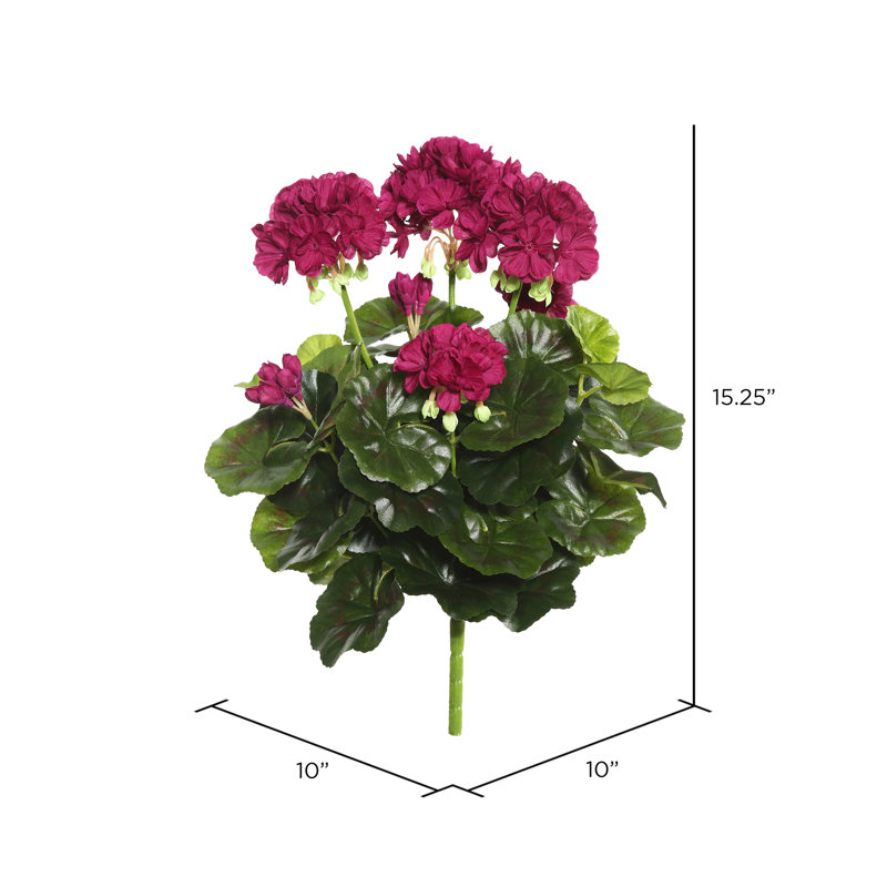 Faux buisson de géranium, Mauve