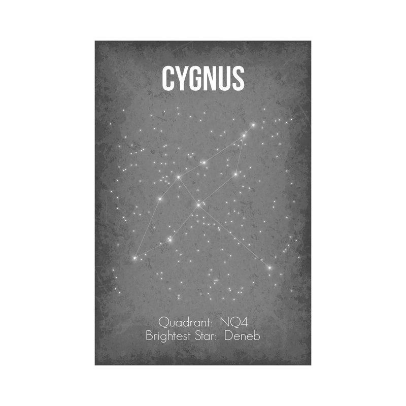Cygnus - Wrapped Canvas Print, 20.32 cm H x 30.48 cm W