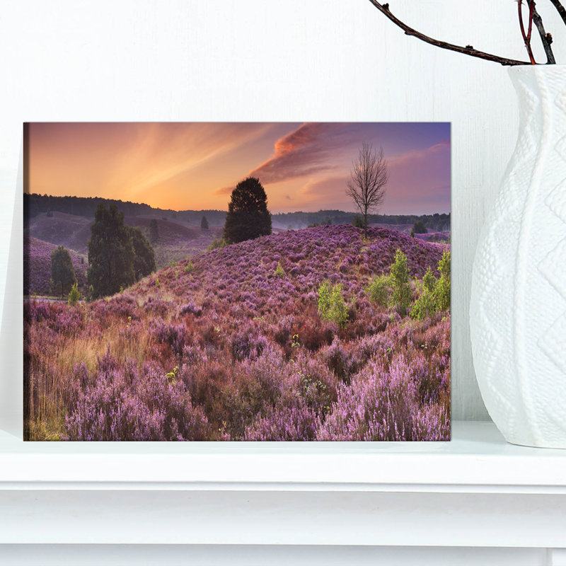 Blooming Heather at Dawn Panorama - impression sur toile tendue, H 8 po x l 12 po x P 1 po