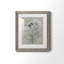 Bouquet de grâce, oiseau I - reproduction de cadre photo sur papier-2030664209-2030664210