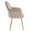 Taraji 46cm H Velvet Upholstered Metal Armchair-22261460-22261463