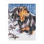 Publicité rétro sur toile tendue Adelphi «Dachshund in Snow»-26106443