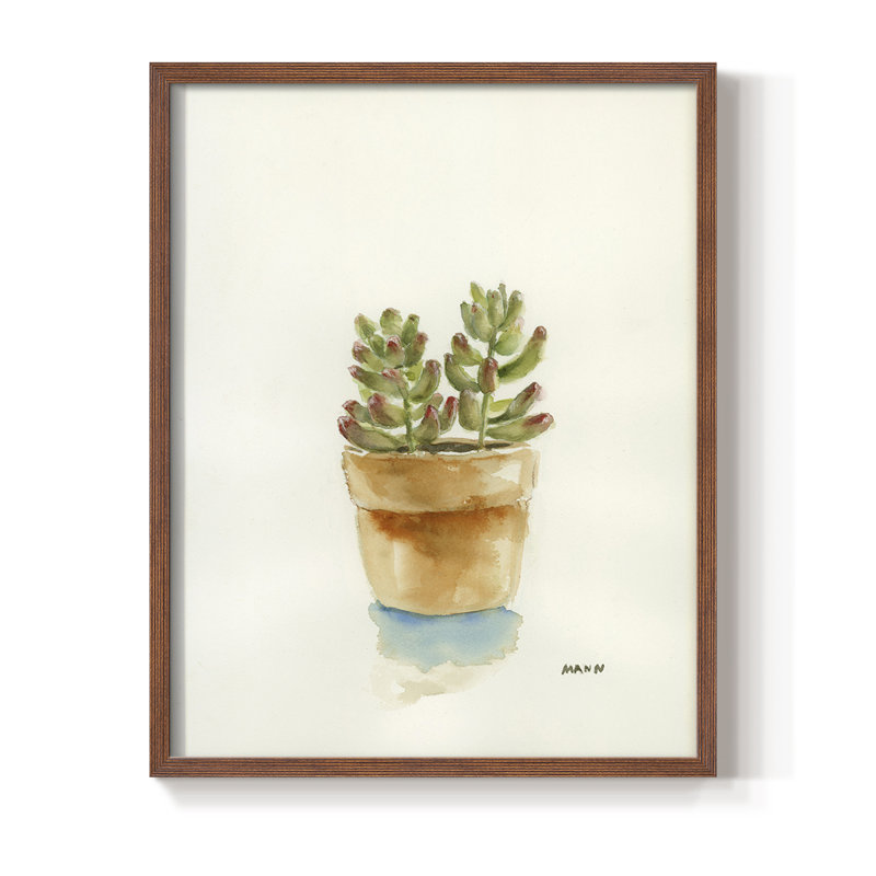 Succulent III, reproduction encadrée - bois massif, Brun, H 20 po x l 16 po