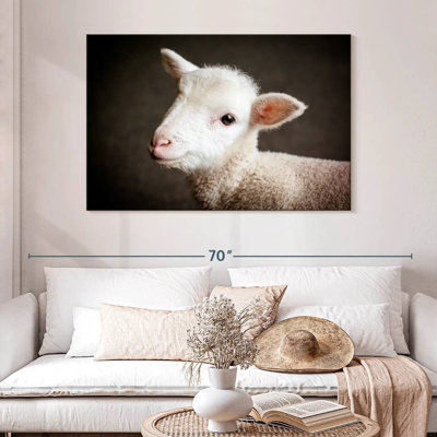 Brampt Baby Sheep