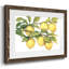 Ripe for Cueillette II - impression d'un seul cadre photo-1941780183-1941780178