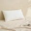 Coussin décoratif en duvet avec housse en coton (ensemble de 2)-132206265-132521331