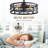  Mariellen 20" 7-Blade Indoor Enclosed Caged Black Ceiling Fan with the Remote Control