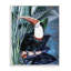 Toucan souriant sur une branche, estampe numérique par Karen Smith-108619277-108619282