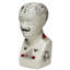 Modern Lancaer Tattooed Phrenology Head Bust – Artistic Head Sculpture Accent for Desk, Shelf and Interior Decor-1242146602