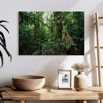 Forêt tropicale Alvord Monteverde