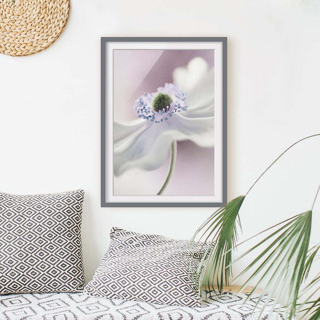 Gerahmter Fotodruck Anemone Breeze