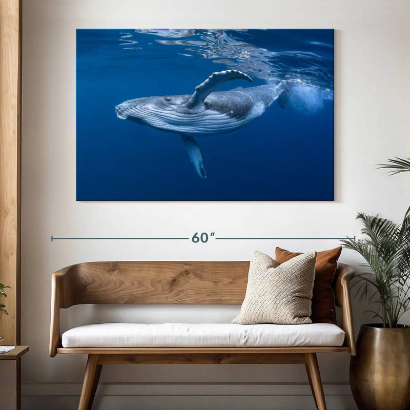 Brampt Baby Humpback Whale, 34" H x 51" W