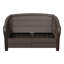 2-Person Polyethylene Wicker Outdoor Loveseat Sofa with Beige Cushions-1368491899