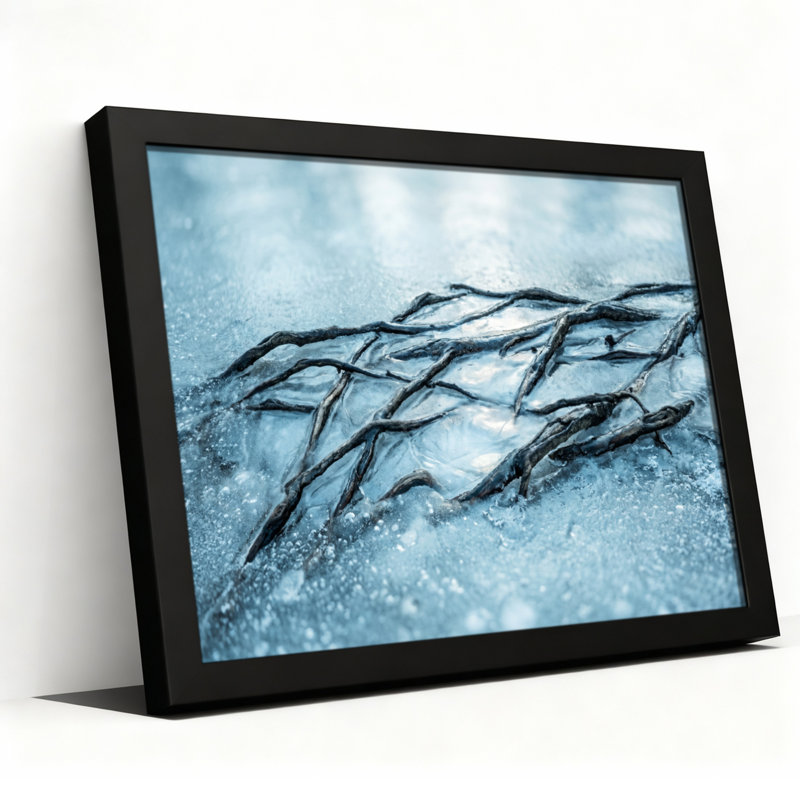 Art mural sur toile noir encadré pour le salon, la chambre à coucher, le bureau ou le vestibule - Décoration murale décorative avec branches gelées