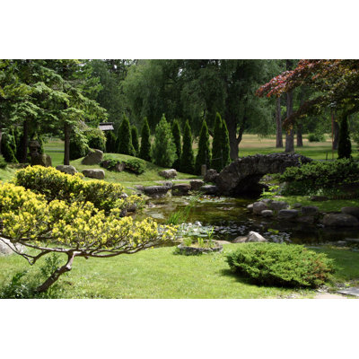 Beardstown Botanical Garden - Wrapped Canvas Print