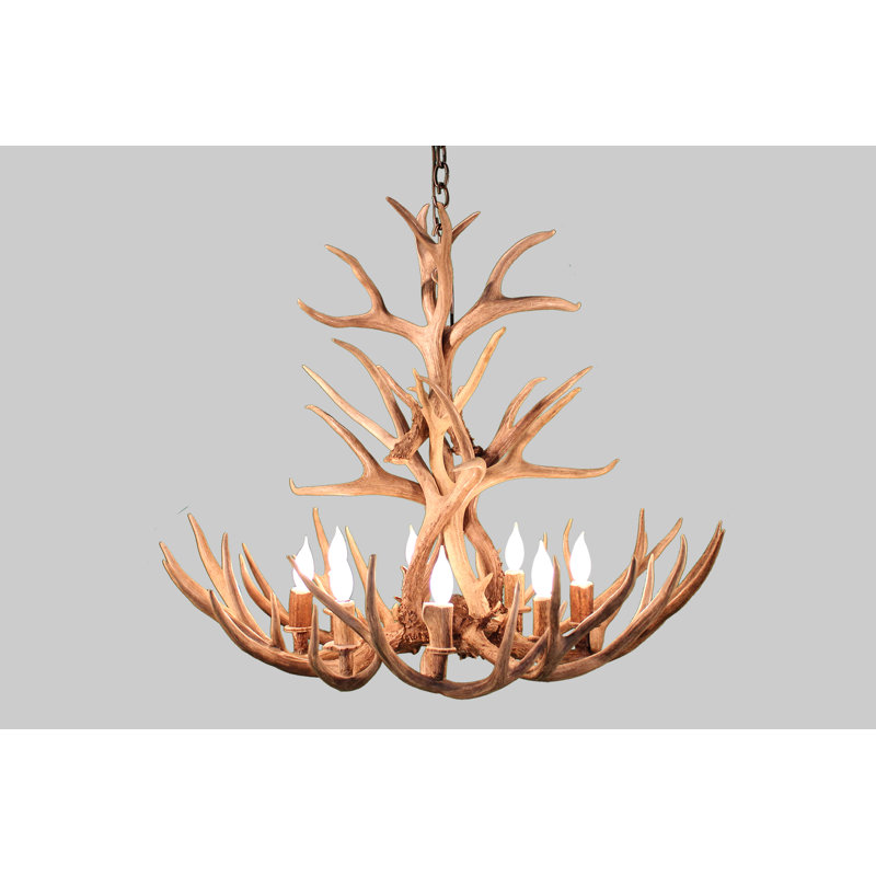 Style bougie 8 lumières classique/lustre traditionnel avec accents antler Alonso