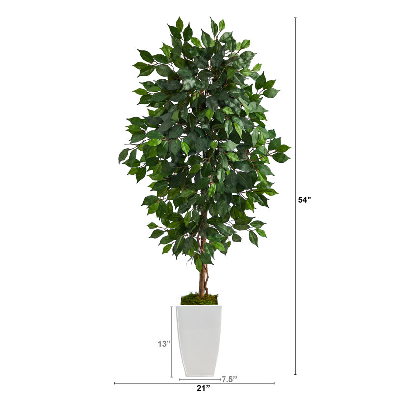 Ficus artificiel 54 po en pot, Blanc