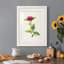 «Pretty Botanicals II», cadre photo-341834863-341834861