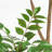 5ft. Artificial Pieris Tree