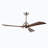 Kamrie 18.1'' Ceiling Fan with LED Lights