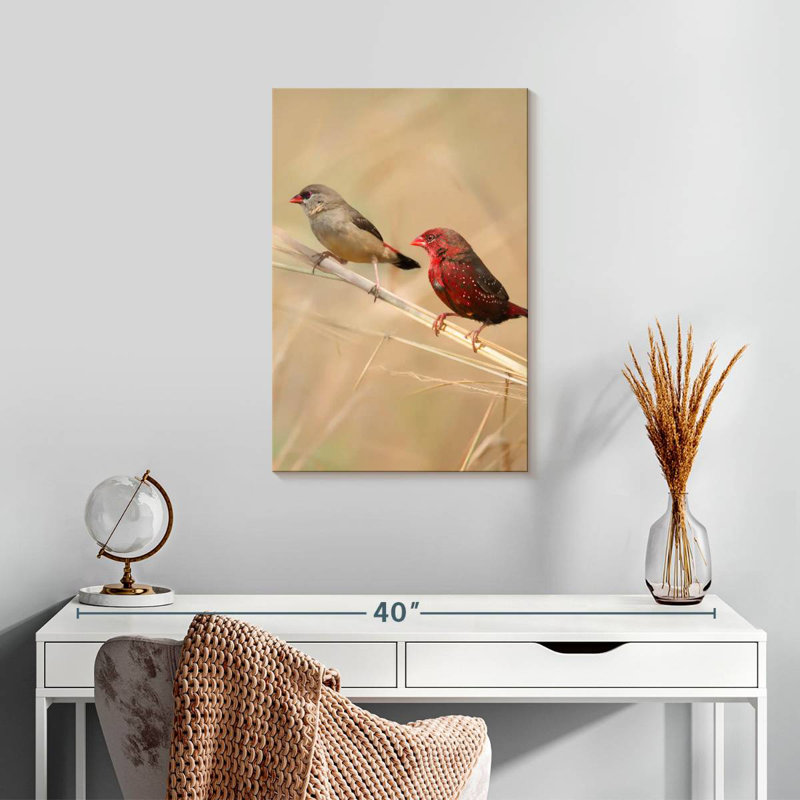 Brampt Strawberry Finches, 24" H x 16" W