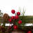 Christmas Tree Decorative Accent