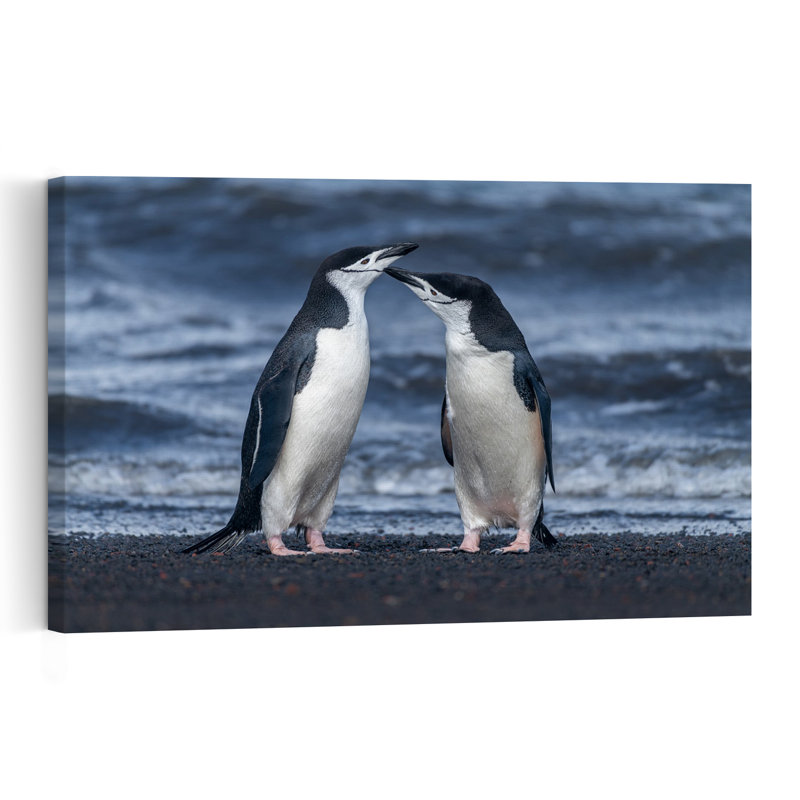 Penguin Affection Contemporary Bird Penguin Beach Wall Art Print 1 Piece Wrapped Canvas Wall Art, 45.72cm H x 30.48cm W
