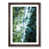 Walnut Framed