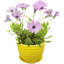 Ceramic Pot Planter