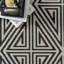 Tapis intérieur / extérieur noir / blanc à motif géométrique Cahuilla-1082567735