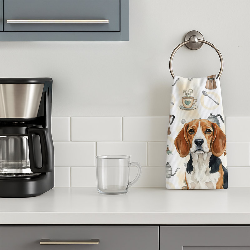 Torchon Beagle, Beagle