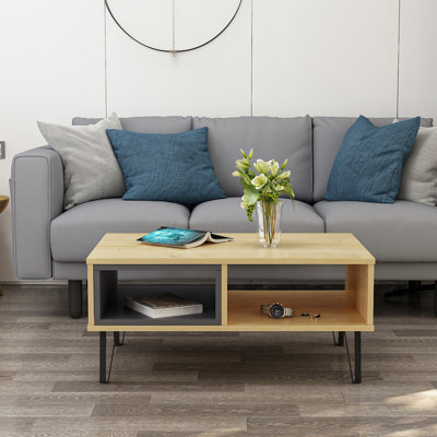 Medota 4 Legs Coffee Table with Storage
