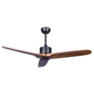 Lorri Ceiling Fan