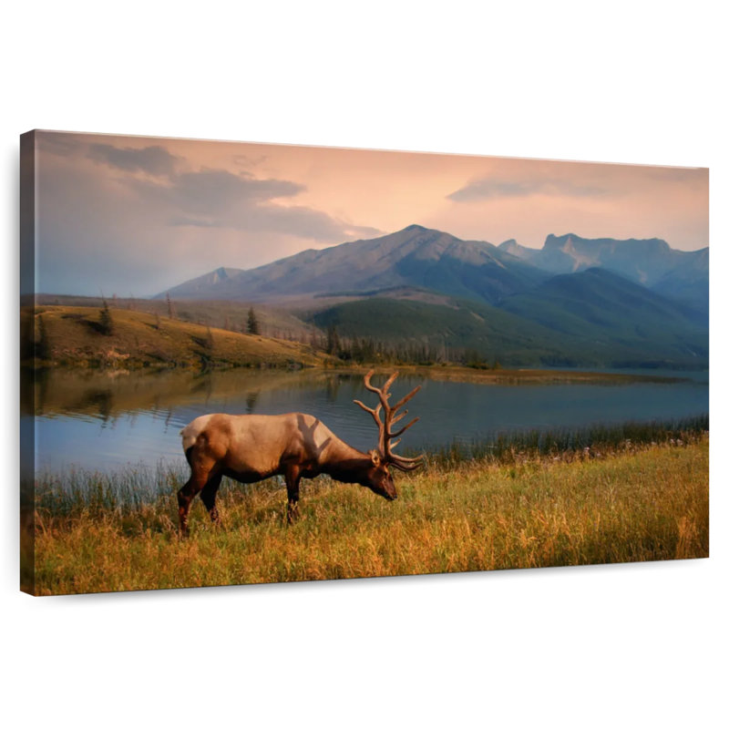 Brampt Lakeside Elk, 26" H x 39" W