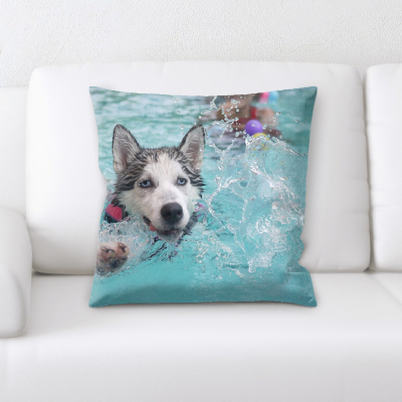 Coussin pour chien