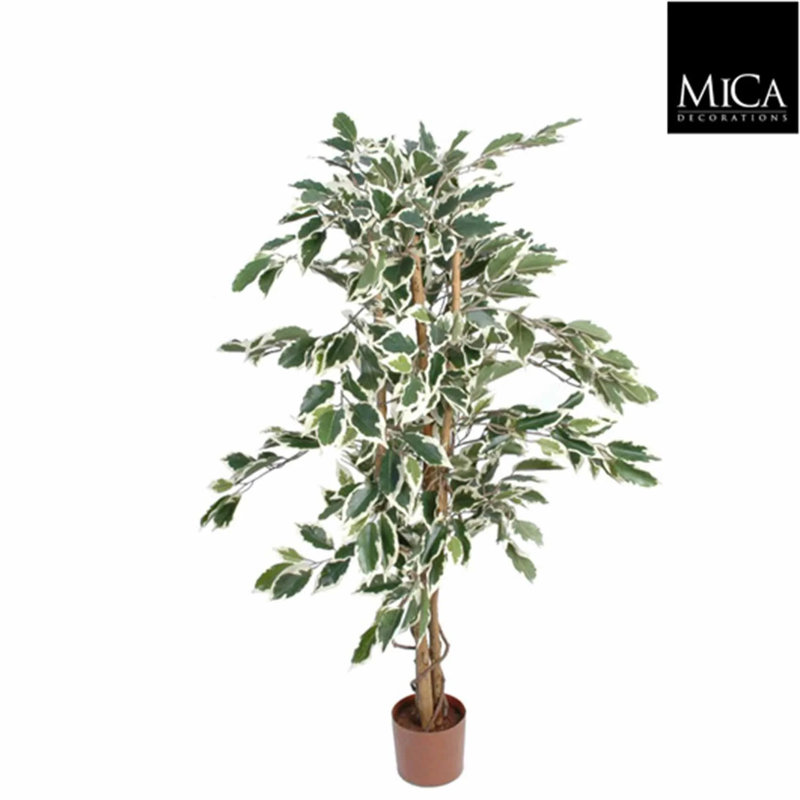 110cm Ficus Tree in Pot