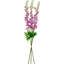 Tiges Delphinium-86731932