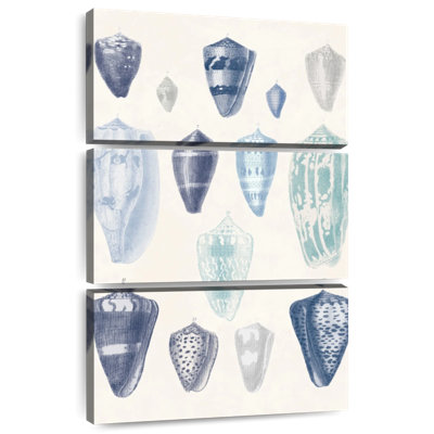 Aletra Blue Shell Assortment I