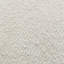 Petaluma Area Rug in Ivory-1073913622