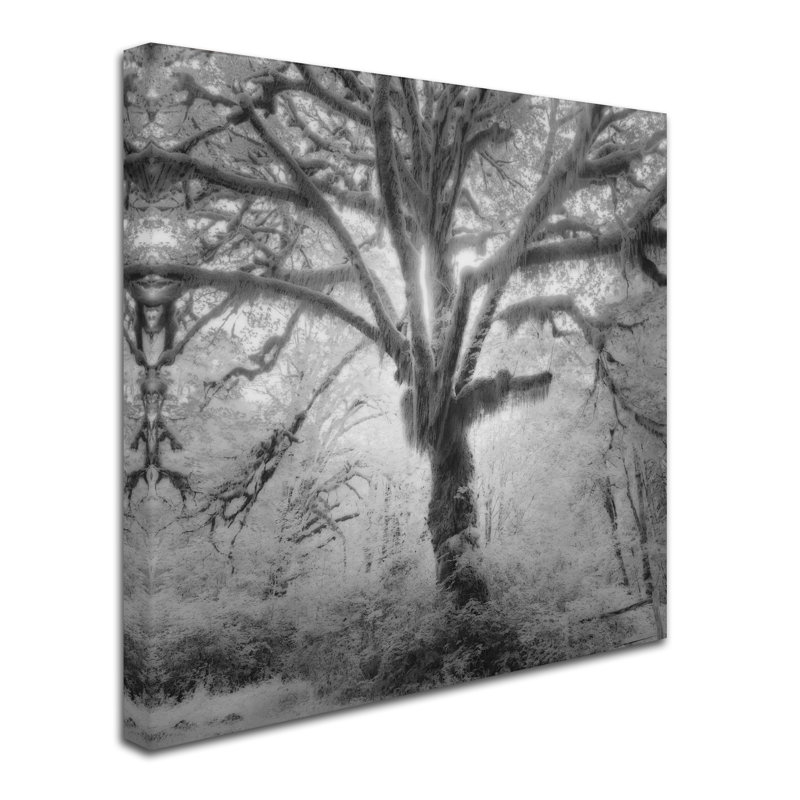 « lightning tree ii » par moises perception, reproduction de photo sur toile tendue, H 35 po x l 35 po x P 2 po