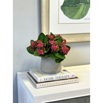 Kalanchoe Arrangement in Fiberstone Pot