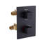 Robinet de douche à double fonction avec valve brute-96667399