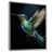 Silver Floater Framed